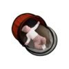 baby cot bed premium baby cot bed premium